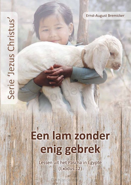 Een lam zonder enig gebrek