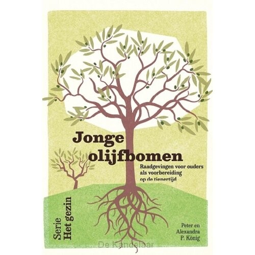 Jonge olijfbomen