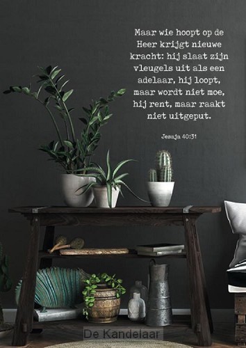 Maar wie hoopt op de Heer...