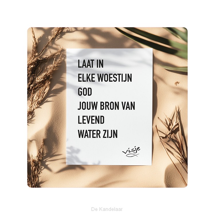 Visje bordje Woestijn