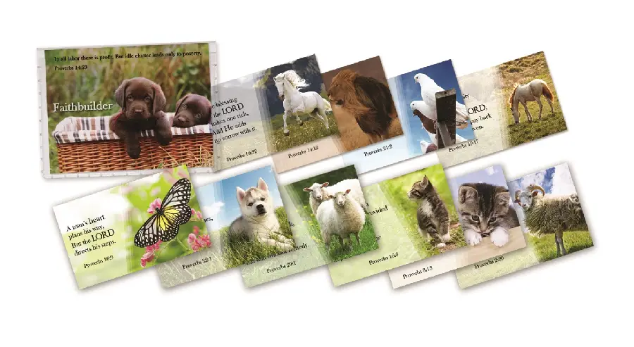 Faithbuilder proverbs series