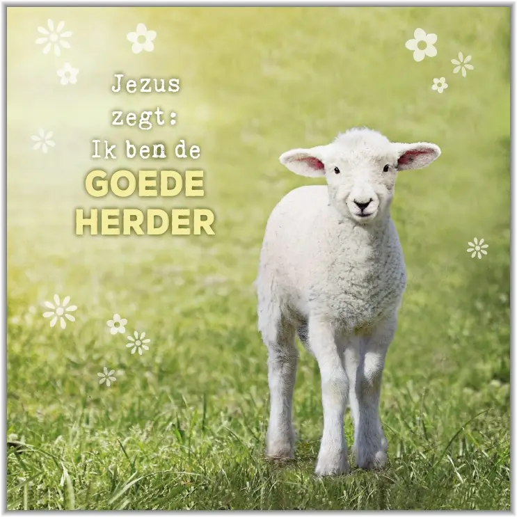 Poster Square Goede herder