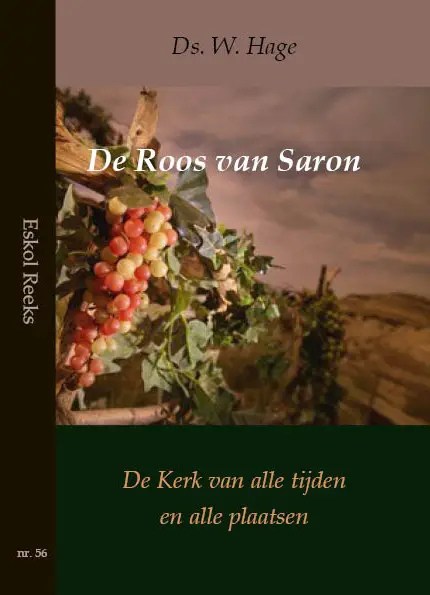 De roos van Saron