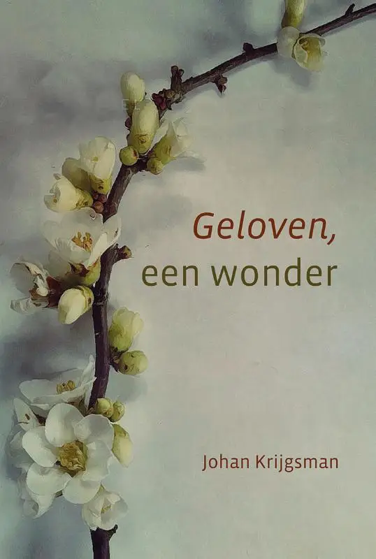 Geloven, een wonder