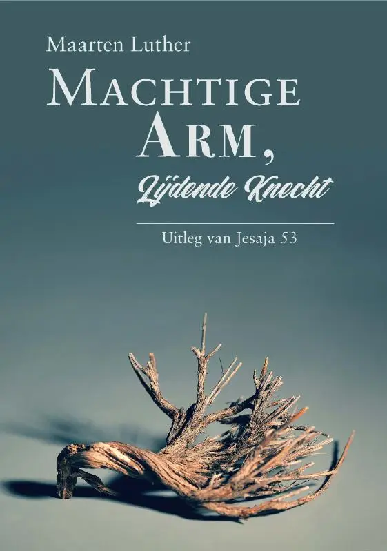 Machtige arm, lijdende kracht