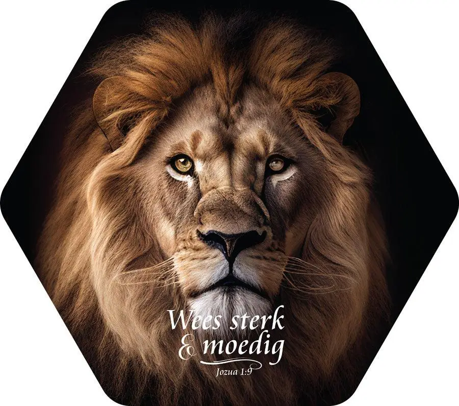 Sterk en moedig / leeuw