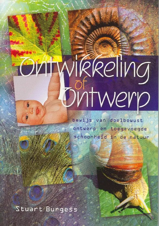 Ontwikkeling of ontwerp