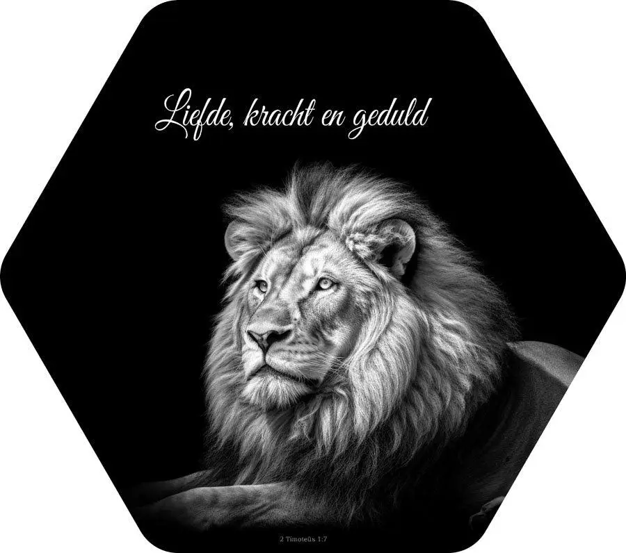 Liefde kracht en geduld / leeuw