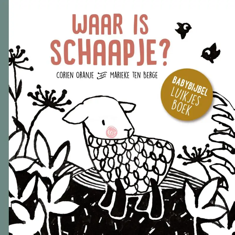 Waar is schaapje? Kartonboek